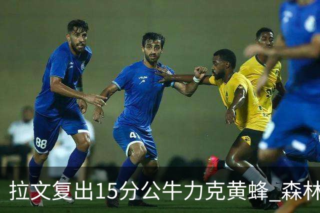 拉文复出15分公牛力克黄蜂 森林狼大胜火箭
