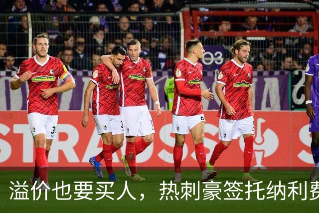 溢价也要买人，热刺豪签托纳利费尔南德斯，凯恩回归迎来关键契机