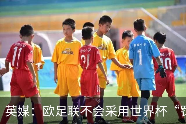 英媒：欧足联不会采用世界杯“罚错人”新规，VAR仅可介入第二黄