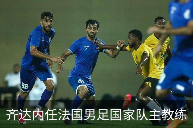 齐达内任法国男足国家队主教练