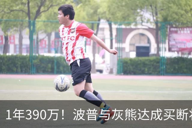 1年390万！波普与灰熊达成买断将签76人 两冠神射再度联手詹姆斯